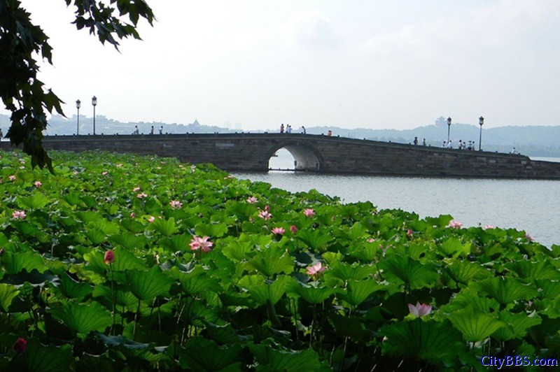 中国最适宜居住的“二线”城市 杭州