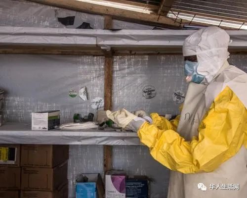 埃博拉病毒的一个致命表亲 最致命马尔堡病毒来袭 第二次在西非被发现
