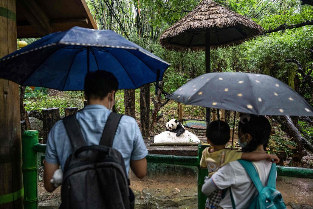 中国经历60年来最严峻高温天气，多地限电停工