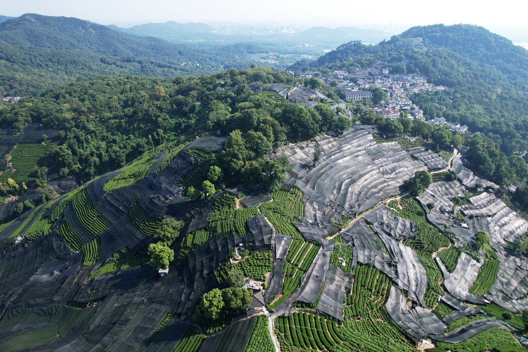 中国经历60年来最严峻高温天气，多地限电停工